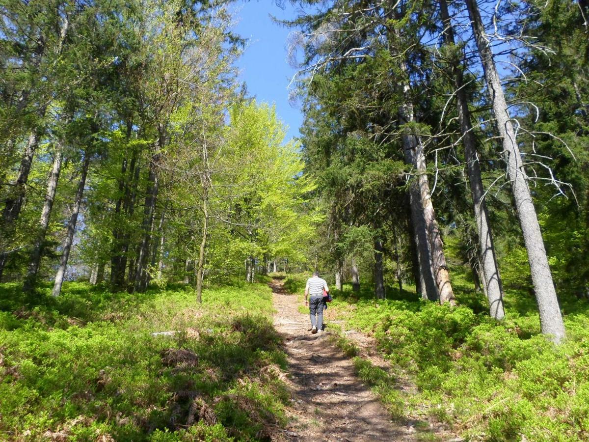 Holiday Home Forest Peace, Lavrovec Hlevni Vrh Bagian luar foto
